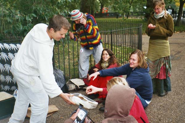 Handing out the Hash cakes