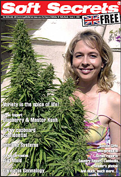 Soft Secrets - click for website