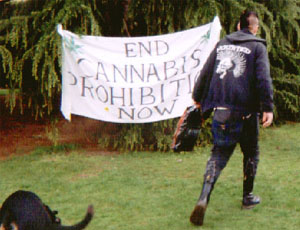 Norwich bears 2001
